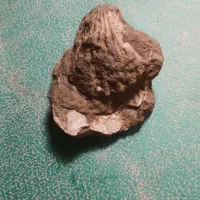 سنگ قیمتی|کلکسیون اشیاء عتیقه|گل تپه, |دیوار