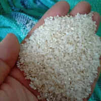 برنج نیم دانه