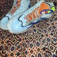 کفش خارجی|کیف، کفش، کمربند|اردبیل, |دیوار