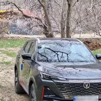 چانگان