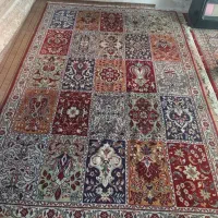 فرش|فرش|خمینی‌شهر, |دیوار