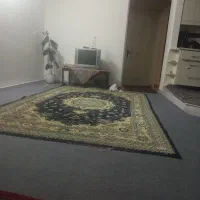 فرش 6متری|فرش|گرگان, |دیوار