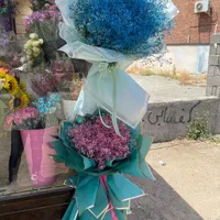 جشنواره رزطبیعی فقط شاخه ای ۳۵هزارانواع گلهاطبیعی|گل و گیاه طبیعی|کرج, فاز ۱ مهرشهر|دیوار