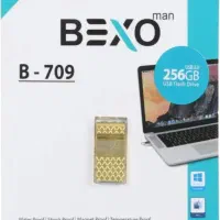 فلش 256 گیگ بکسو مدل B709 گارانتی مادام