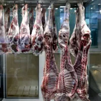 سوپر گوشت بره مغان