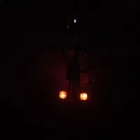 دوچرخه ۲۴|دوچرخه، اسکیت، اسکوتر|امیدیه, |دیوار