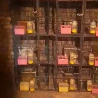 قفس آهنی کامل برایه کبوتر جوجه گیری.|لوازم جانبی حیوانات|فولادشهر, زاینده رود|دیوار