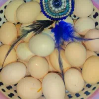 تخم مرغ گلین نطفه دار