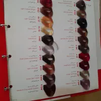 آلبوم رنگ|آرایشی، بهداشتی، درمانی|رشت, انصاری|دیوار