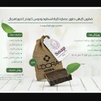 صابون های گیاهی لدورا|آرایشی، بهداشتی، درمانی|رشت, نامجو|دیوار