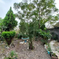 فروش ویلایی۴۵۰ متری سندتک برگ جای بکر و خاص|فروش خانه و ویلا|رشت, حومه رشت|دیوار