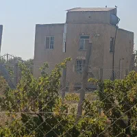 باغ انگور 1300 متری سنددار در منطقه ویلایی