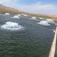 مزرعه پرورش ماهی