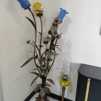 آباژور سالمو تمیز