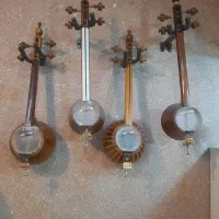 کمانچه حرفه ای