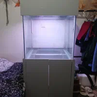 آکواریوم بزرگ|ماهی|بجنورد, |دیوار