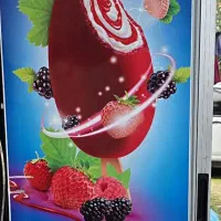 یخچال ایستاده زیمان