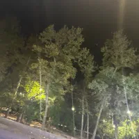نگهبان و نیروی کار مرغداری
