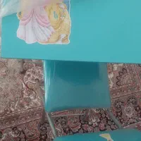 میز صندلی تاشو و ظرف غذا|میز تحریر و کامپیوتر|مشهد, تلگرد|دیوار
