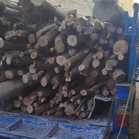 هرس باغ با پیشرفته ترین اره ها بنزینی برقی‌(بیصدا|خدمات باغبانی و درختکاری|شیراز, شهرک کوشکک|دیوار