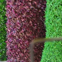 چمن مصنوعی 339تومن به مدت یک هفته|گل مصنوعی|لاهیجان, شهرک جانبازان|دیوار