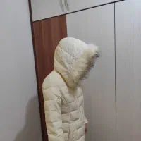 کاپشن|لباس|برازجان, |دیوار