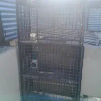 قفس توری جفتگاه