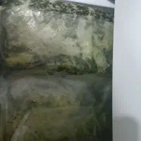 سبزی خورشتی