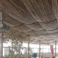 همخونه خانم