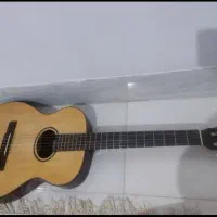 گیتار آنتونیو اپارچیو