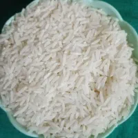 برنج فجر سوزنی کیلو 240 هزار تومان