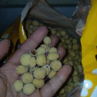 تخمه دورنگ کشمش ذرت ماش بادام زمینی|خوردنی و آشامیدنی|بروجرد, |دیوار