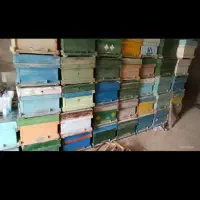 فروش کندو خالی و قاب