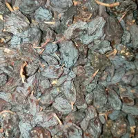 کشمش بش|خوردنی و آشامیدنی|آباده, |دیوار