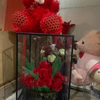 پولیشی ها عروسک خرسک باکس گل