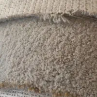 فرش تدی 16متری|فرش|بابلسر, |دیوار