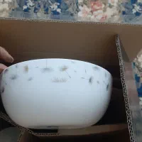 ظروف آرکوپال