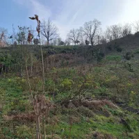 فروش-زمین-هکتاری-مناسب-اکو-کمپ