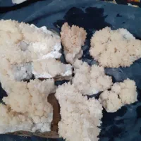 سنگ اکواریوم وتزیینی|ماهی|مشهد, شهرک مطهری|دیوار