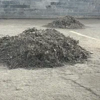 سوله های حتی شیروانی .کود بود کبوت ی|گل و گیاه طبیعی|تاکستان, |دیوار