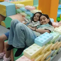 همکار خانه بازی دلفینو