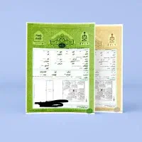 ضامن ضمانت دادگاه (سند فیش حقوقی وجوازکسب)