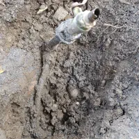 نشت یابی تخصصی با دستگاه تصویری تضمینی|خدمات پیشه و مهارت|قائمشهر, |دیوار