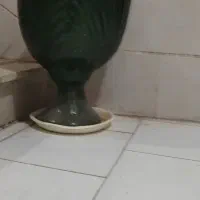 12 عدد گلدان همراه با گیاه|گل و گیاه طبیعی|محمدیه-قزوین, |دیوار