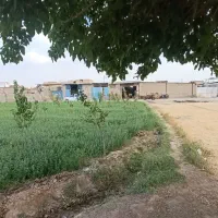 زمین-رهنان