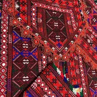 انواع زیاستین