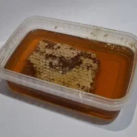 عسل موم دار و شهد کرمانشاه برداشت اول بهاره