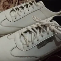 کفش نو|کیف، کفش، کمربند|خرمشهر, |دیوار