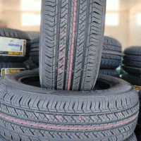 لاستیک دولتی