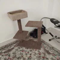 برج بازی گربه